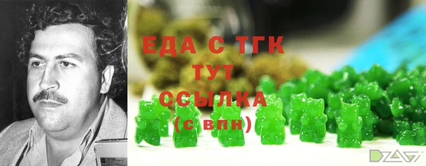 гидра Бородино