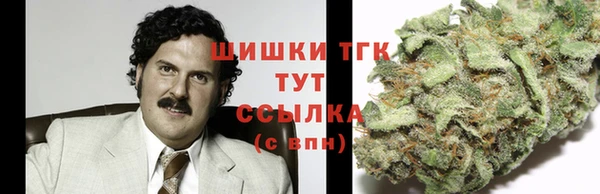 PSILOCYBIN Бугульма