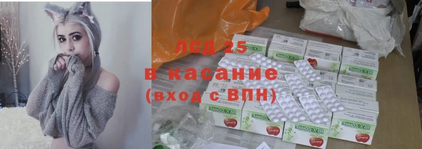 гидра Бородино