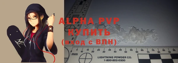 гидра Бородино