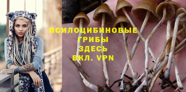 PSILOCYBIN Бугульма
