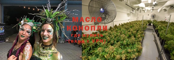 гидра Бородино