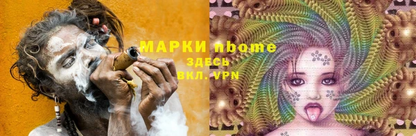 гидра Бородино