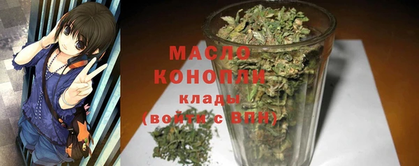 гидра Бородино
