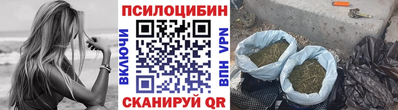 omg   Вилюйск  Псилоцибиновые грибы Cubensis 